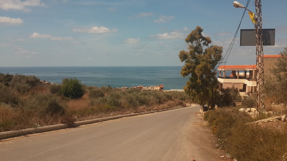 Photograph by mahmoud shihabi moni