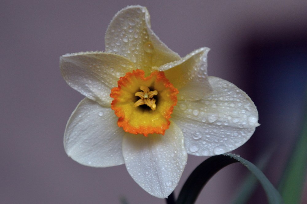 Photograph by Alvydas Ldk