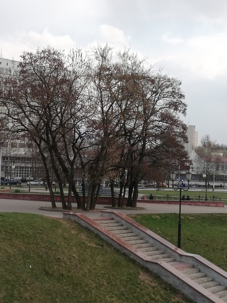 Хороший день