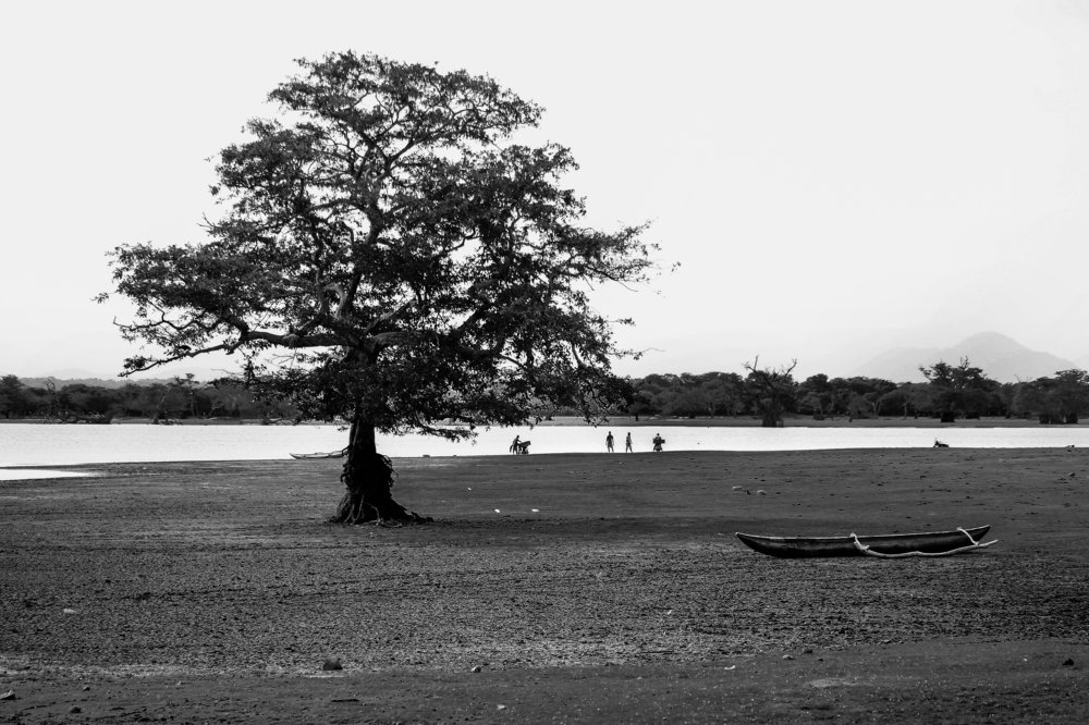 Photograph by Sachith Priyankara Lansakara