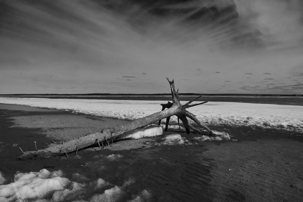 На берегу реки.