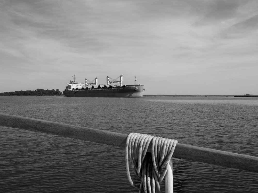 Фотография автора Ольга Горбунова