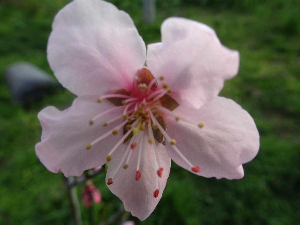 just opened to the world