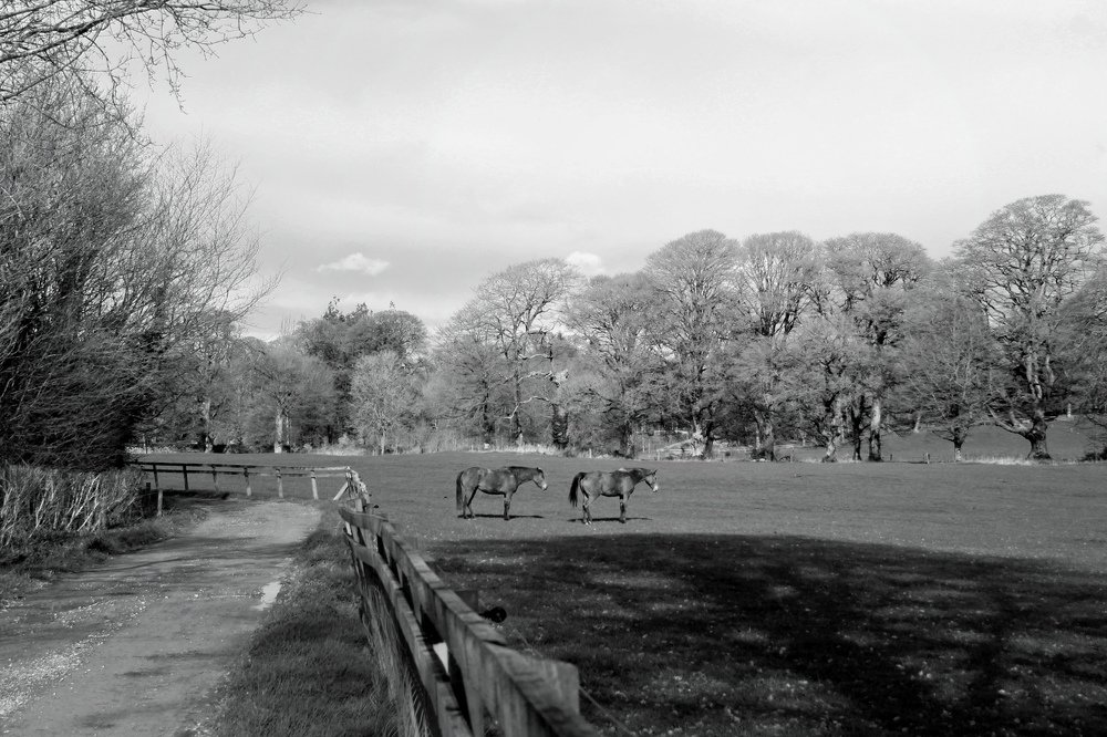 Photograph by Irina Radzinskaya