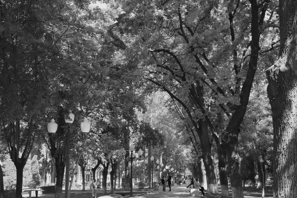 Photograph by Софина Марина