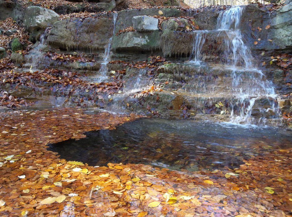 Есенни цветове