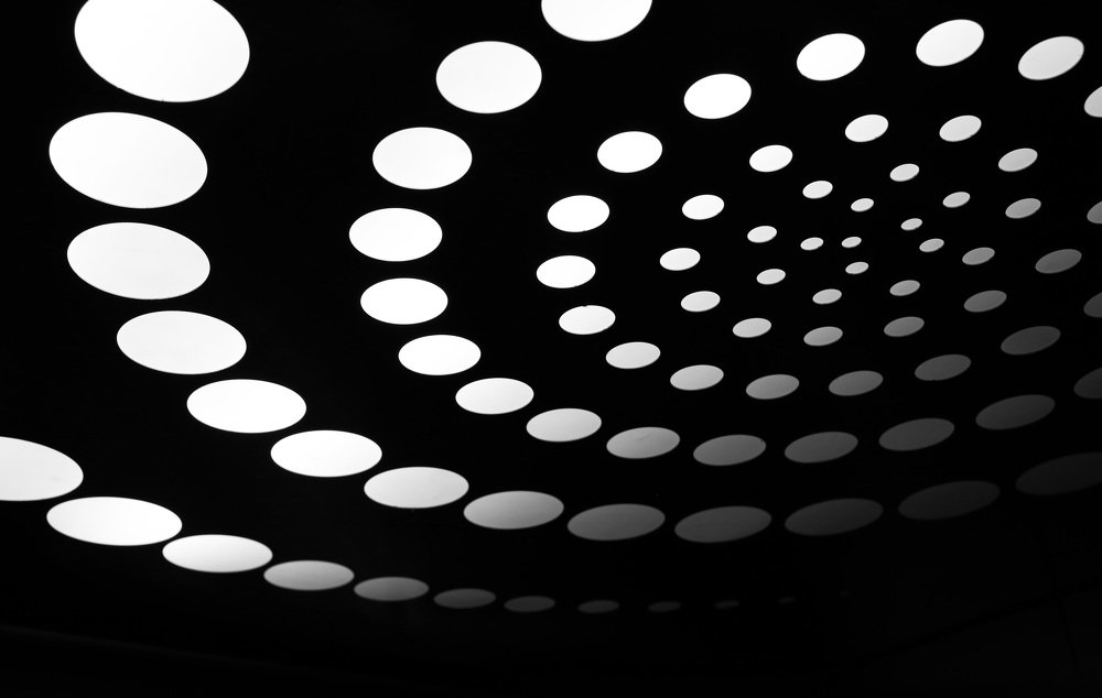 Они прилетели