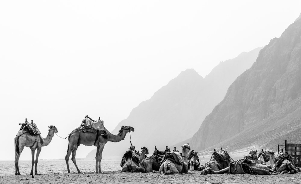 Пыльное утро