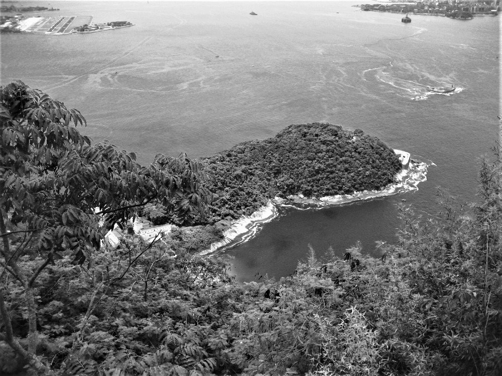 Black and white landscape