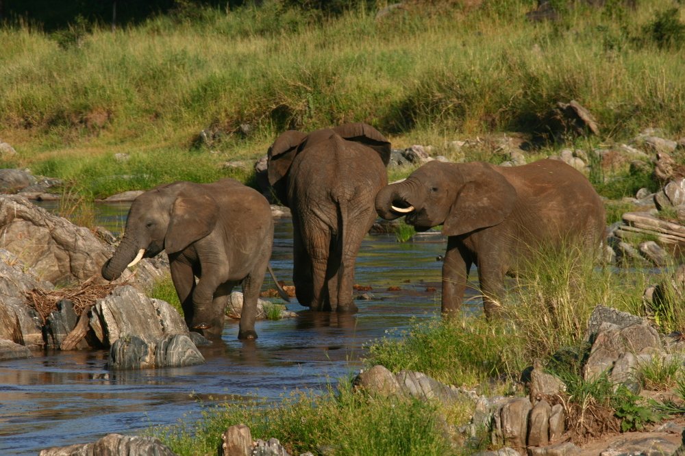 Семейные споры