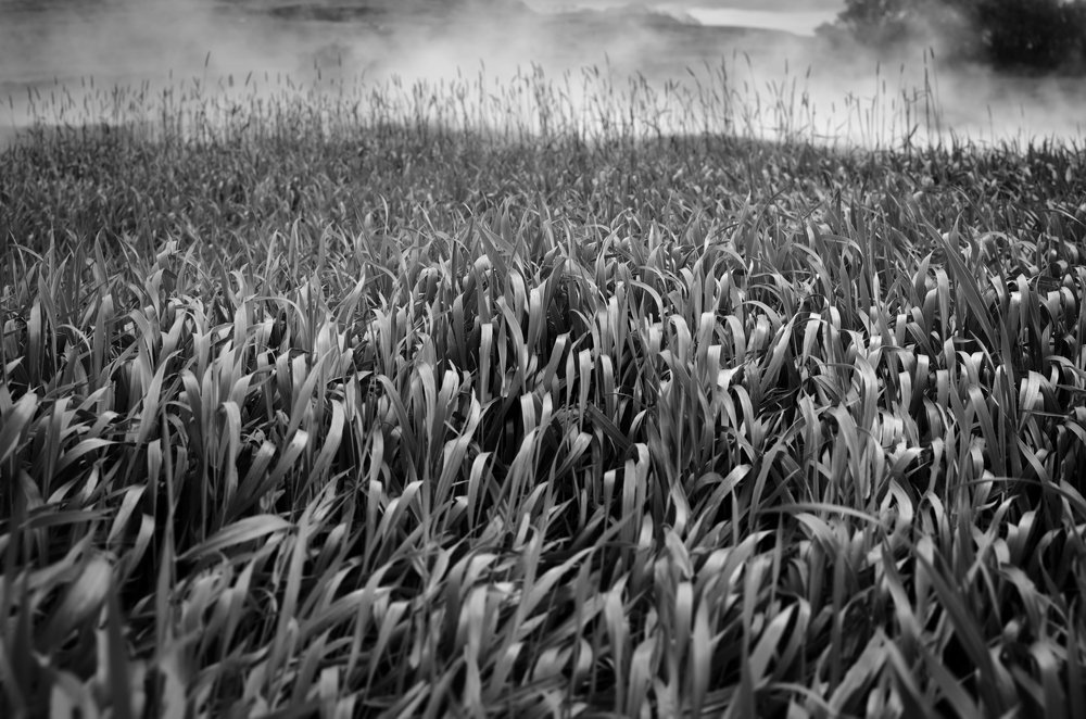 The Golden Age is over