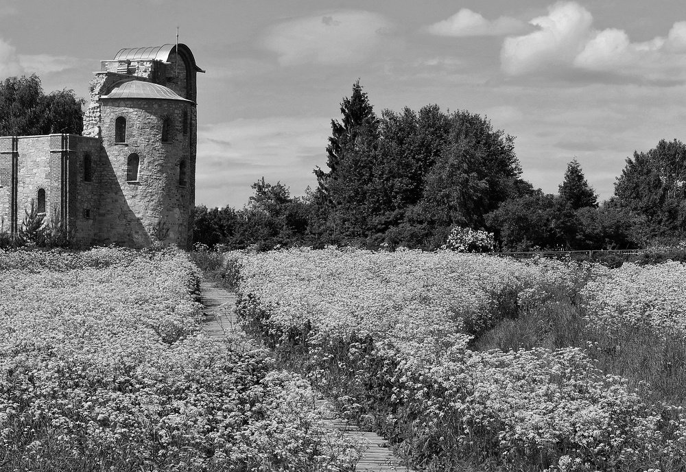 Photograph by Алексей Фомичев