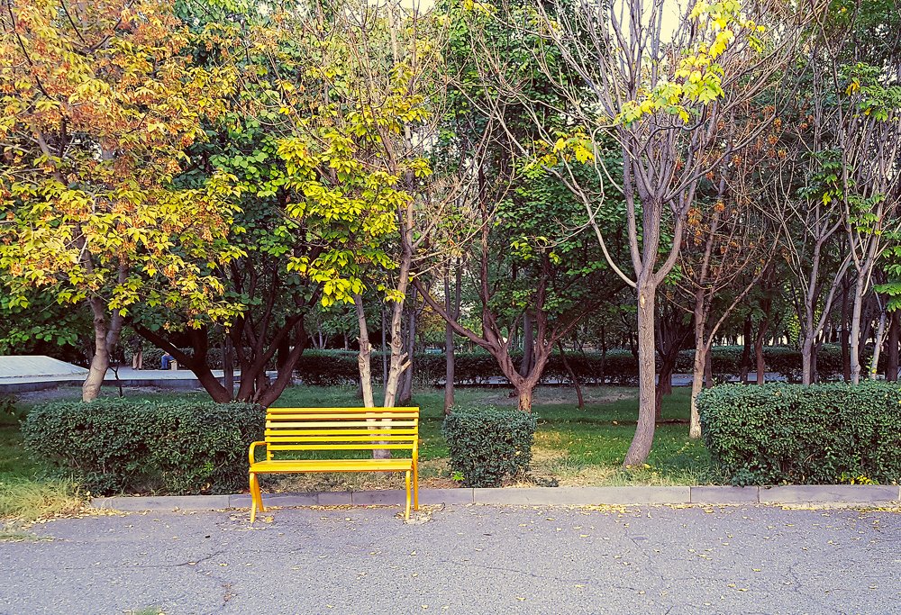 Пустой парк