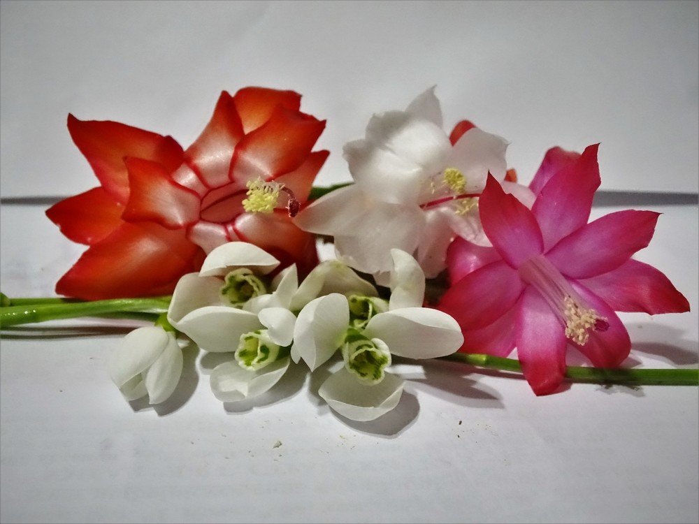 Christmas balls and Christmas