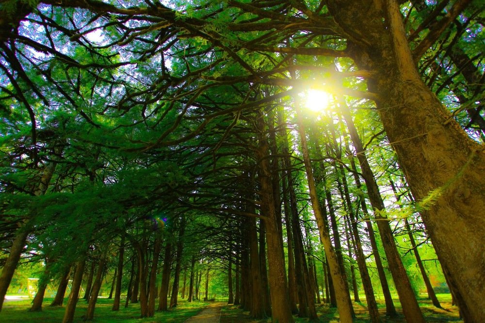 Photograph by Венера