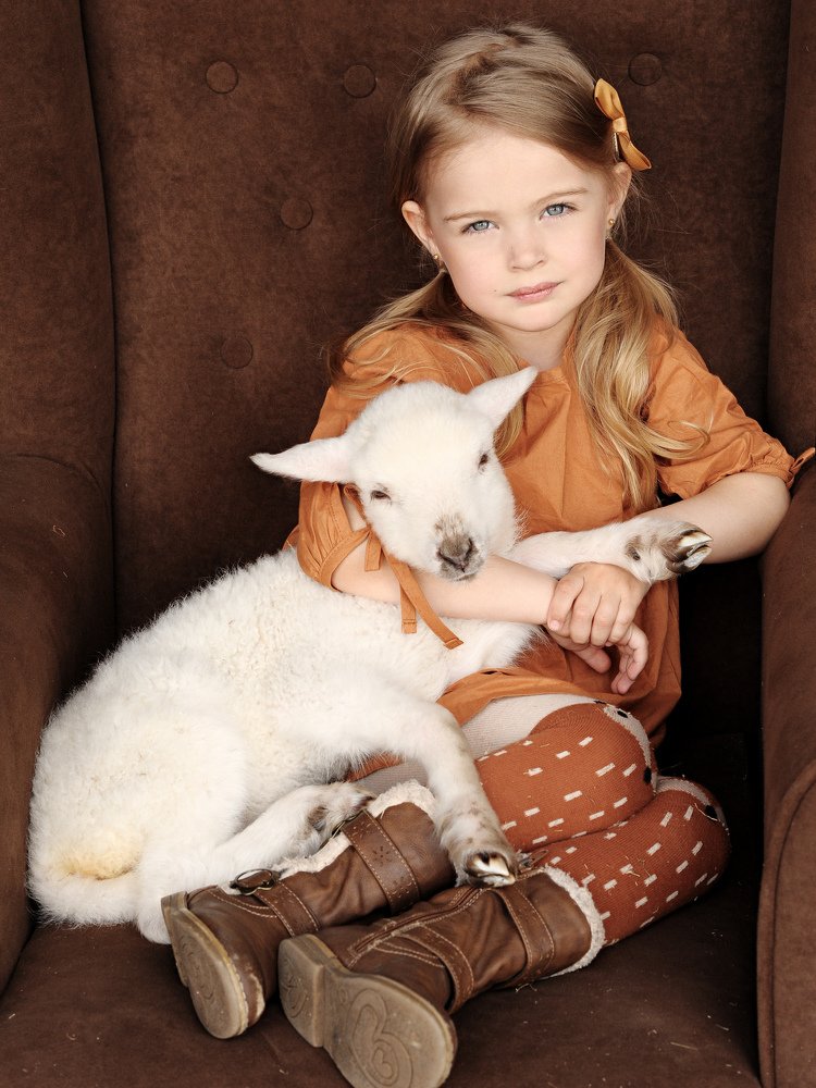 Нарисуй мне барашка...