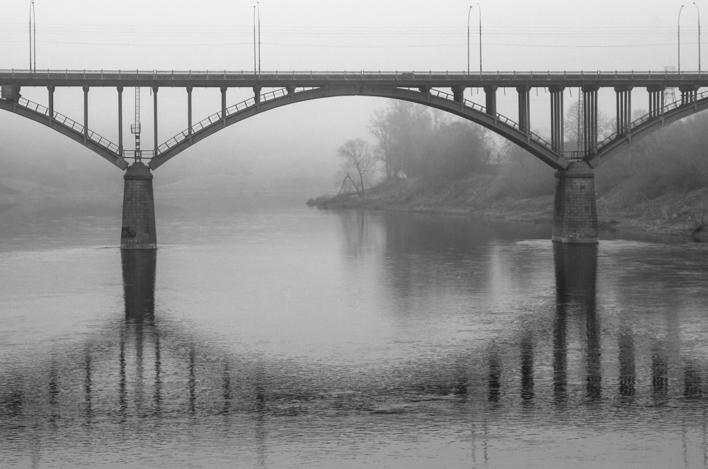 Туманный берег