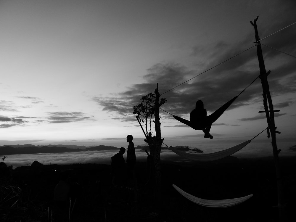 enjoy the quiet side of nature