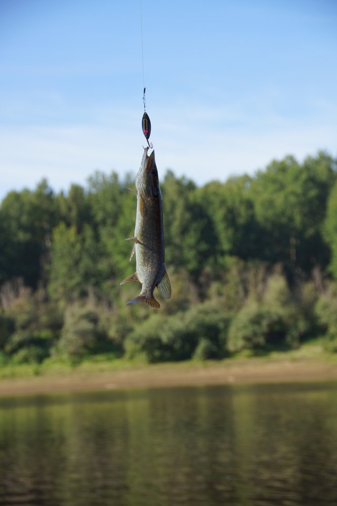 Photograph by Андрей Елькин