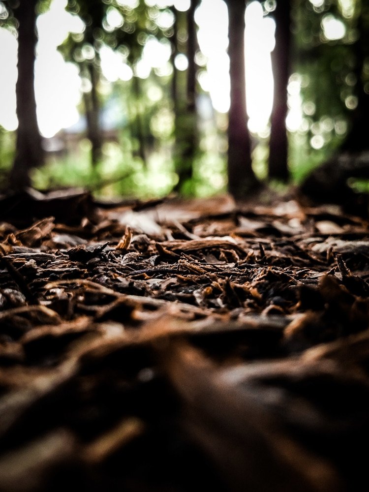 Autumn in my village