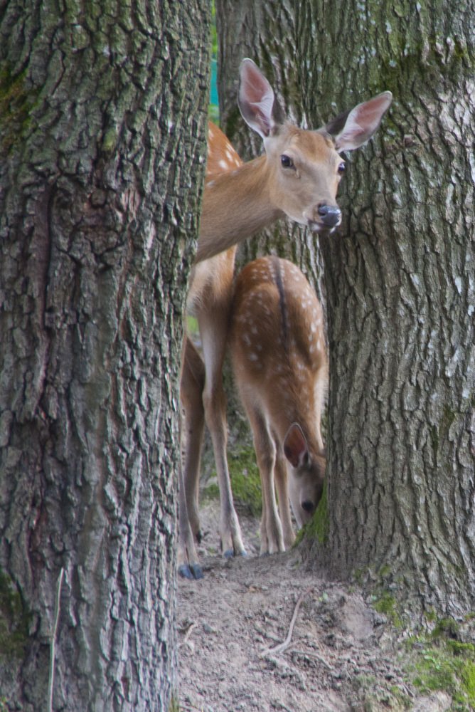 осторожность