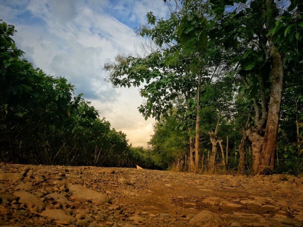 Un camino de esperanza