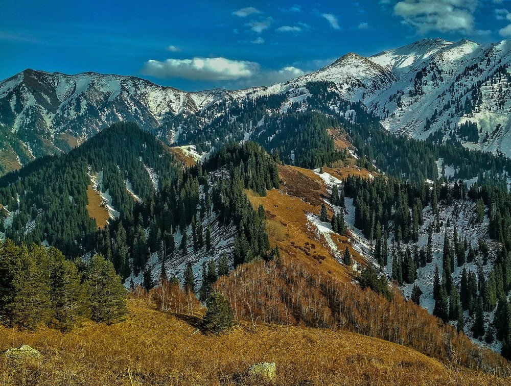 Сопка Фурманова