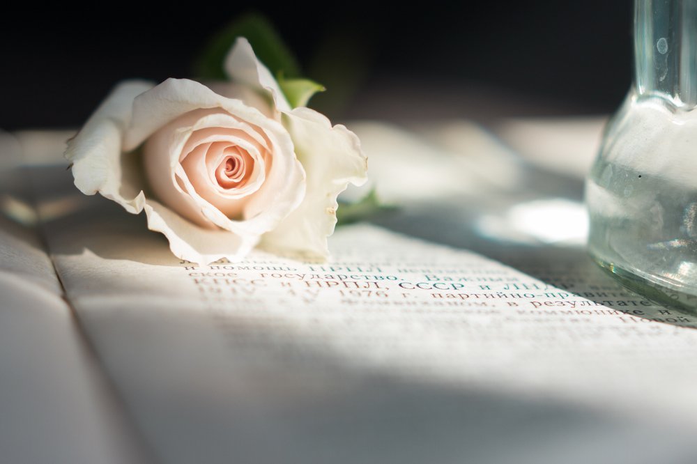 Цветы и книги