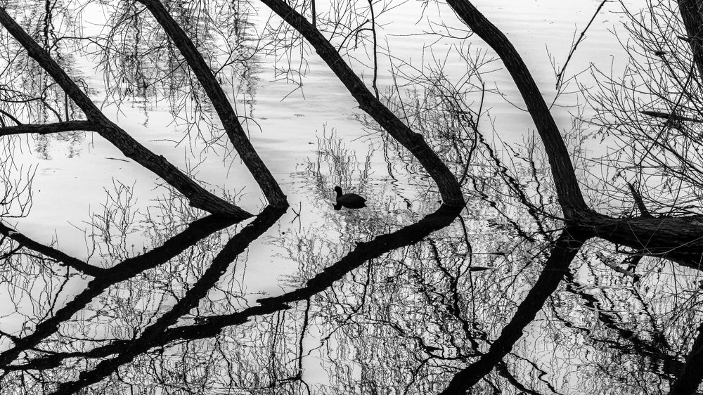 В половодье