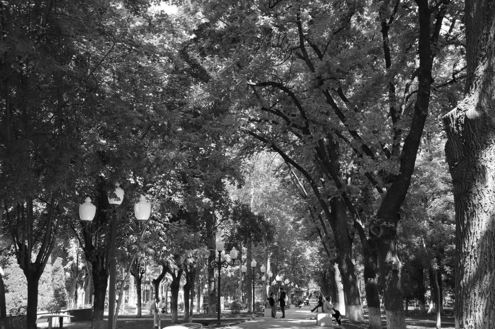 Photograph by Софина Марина