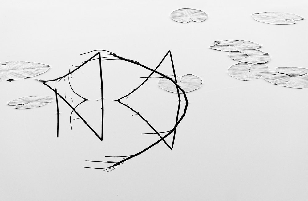 Прелюдия любви...