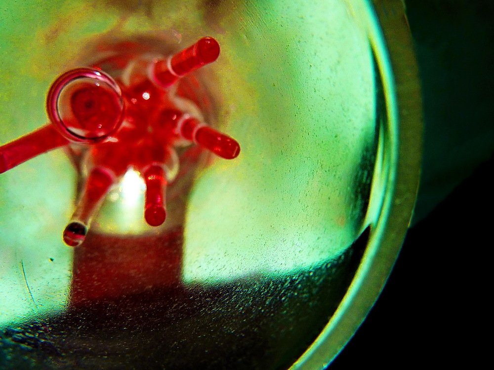 Красное в зеленом.