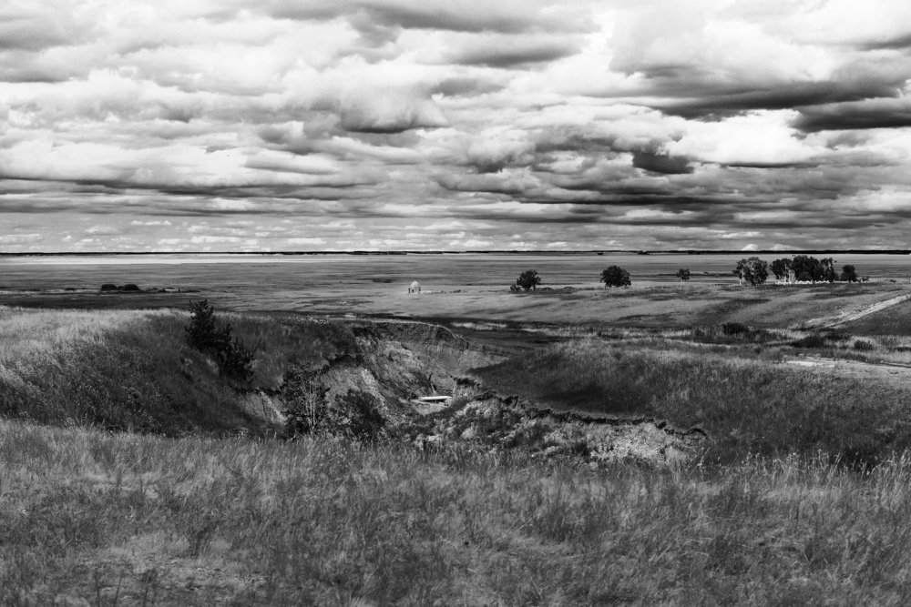 Родные просторы