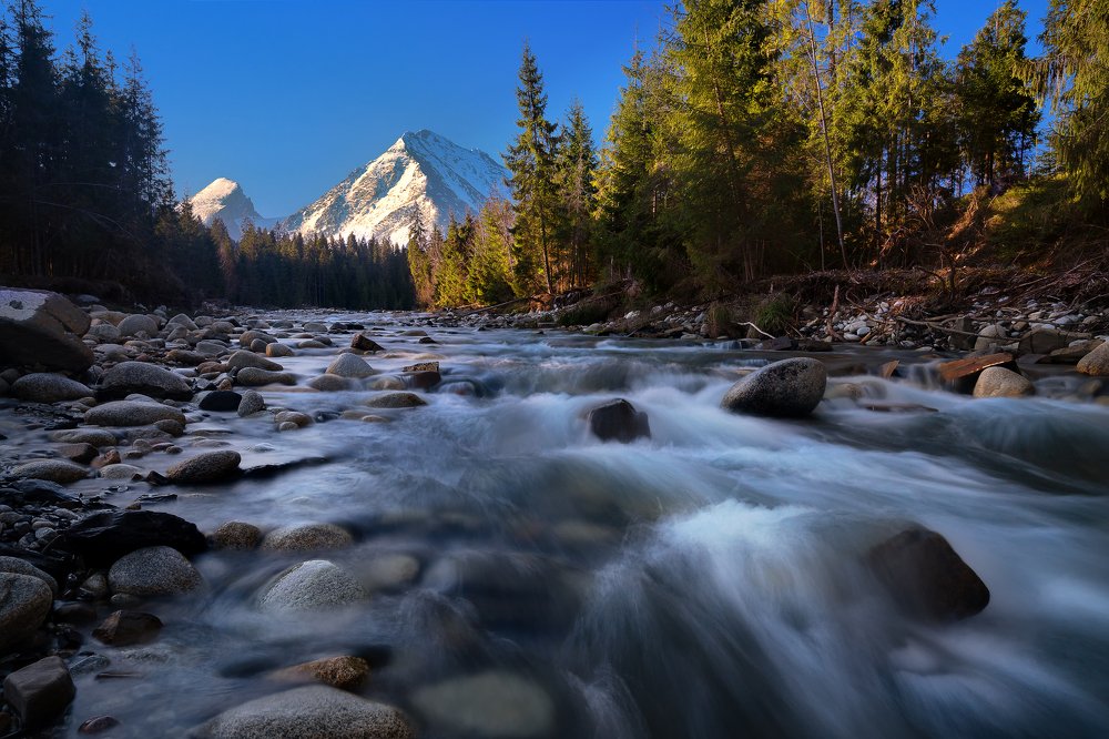 A wild stream under a mountains
