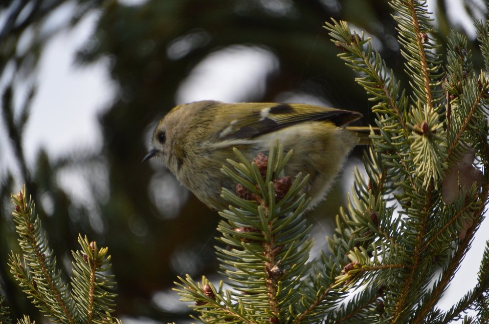 Photograph by Alvydas Ldk