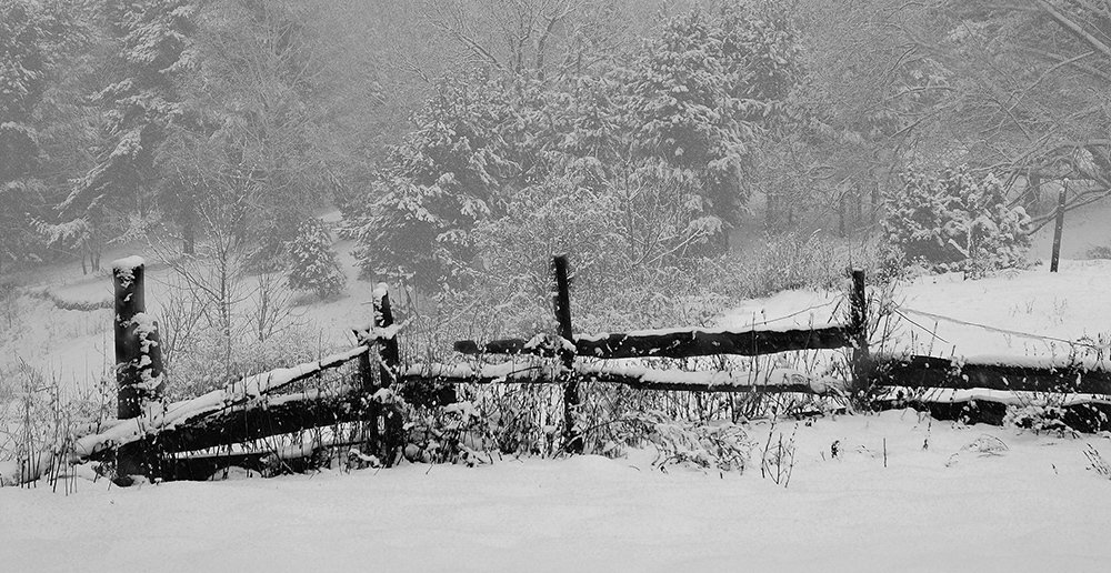 В начале зимы