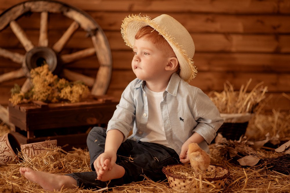 Утро в деревне