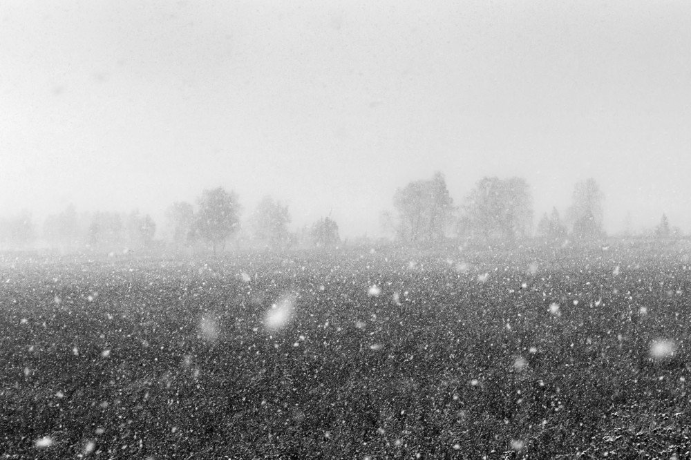 Снежная мгла