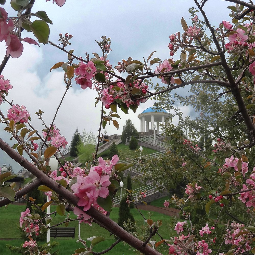 Весна в парке