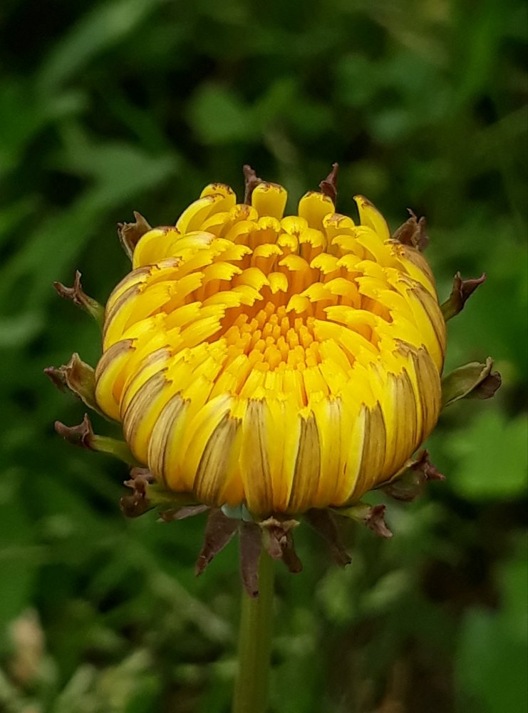 Macro work with mobile