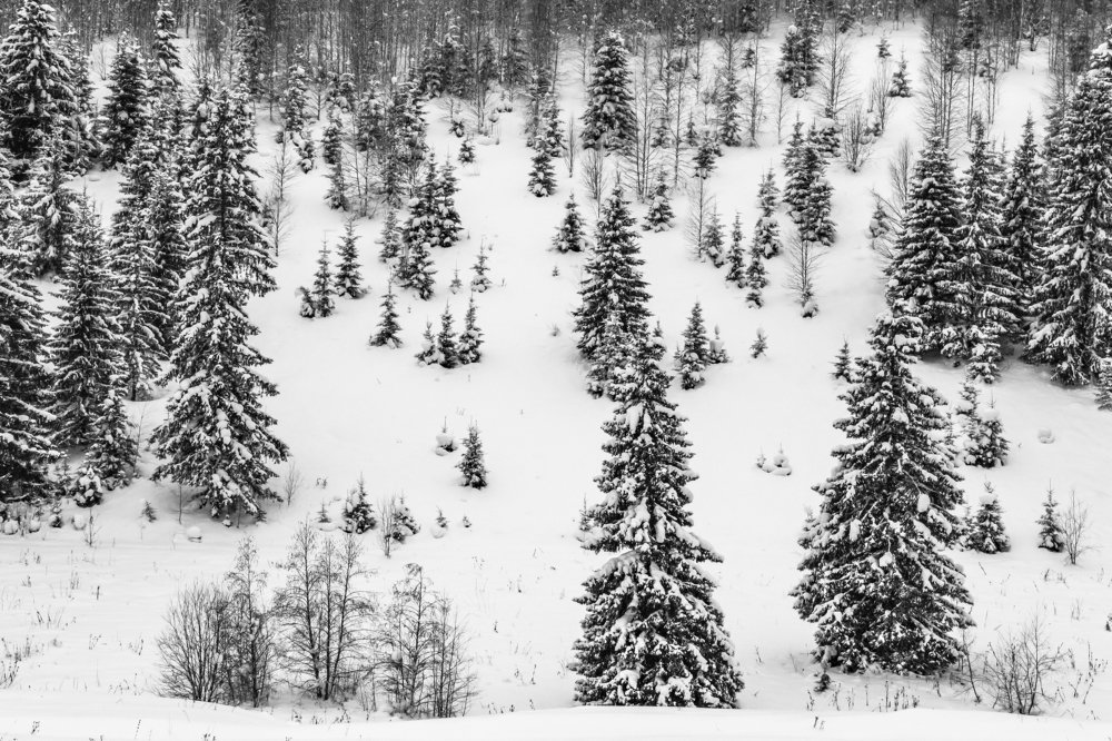 Photograph by Алексей Кашин