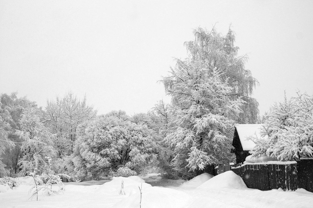 Запорошило