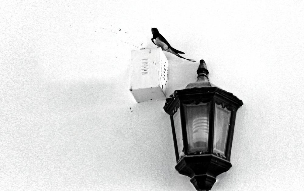 Photograph by Irina Radzinskaya