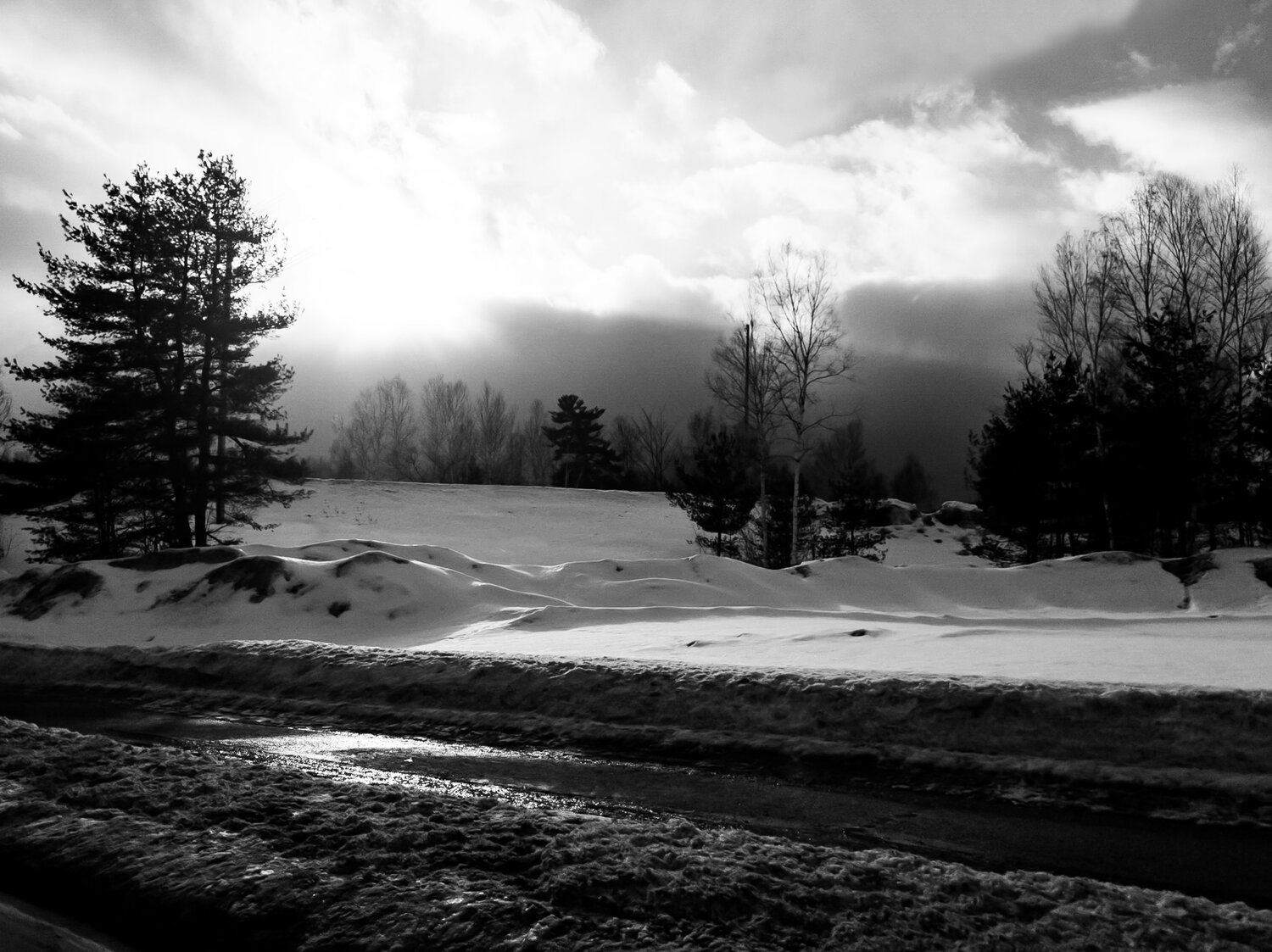 New Hampshire Shines
