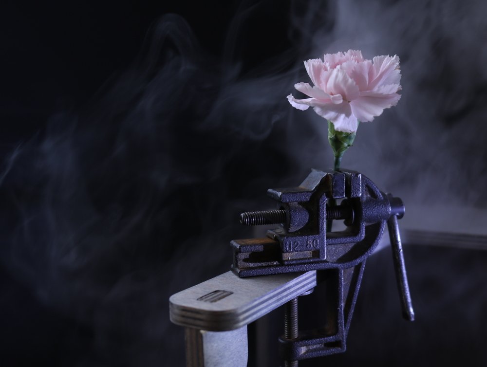 Photograph by Татьяна