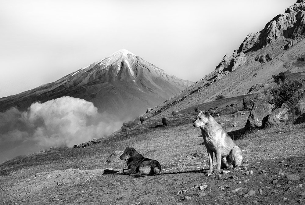 Photograph by Neda Ghiasi