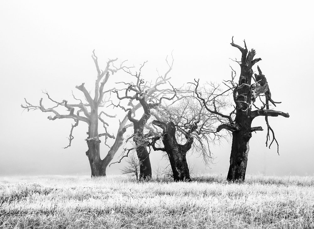 Wieków przemijania świadkowie