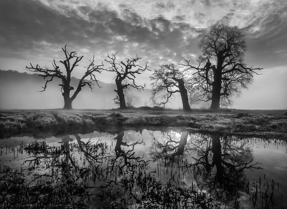 Poranny majaków marsz