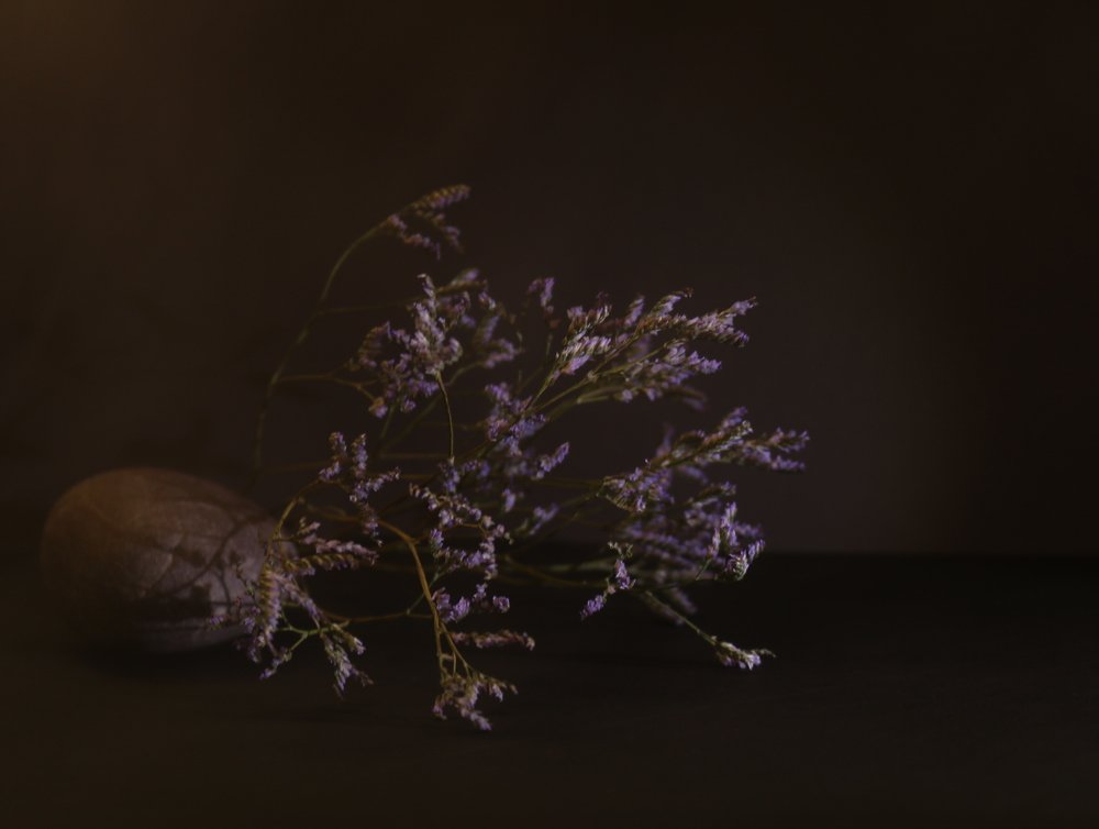 Photograph by Татьяна