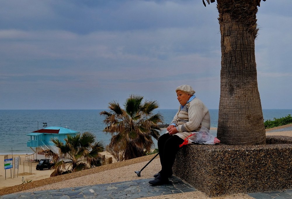 У старой пальмы